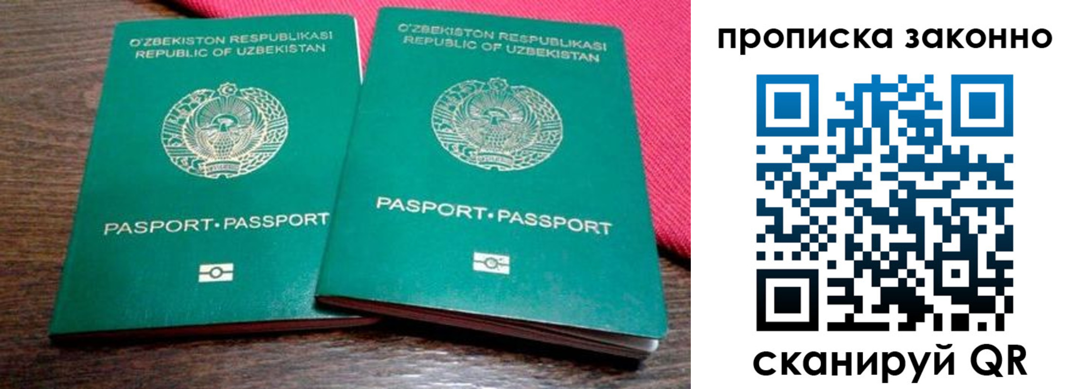 регистрация в Мордовии